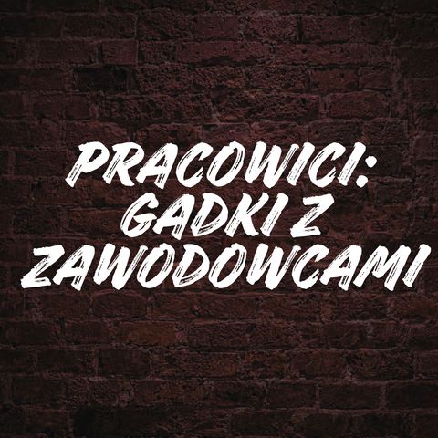 PracoWici: Gadki z Zawodowcami